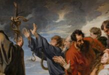 Enfrentando los Miedos: Una Perspectiva Bíblica y Psicológica