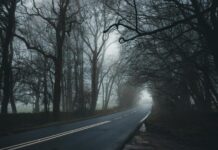 IDENTIDAD Y RESPONSABILIDAD