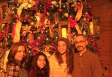 Luces Navideñas y Eventos Festivos